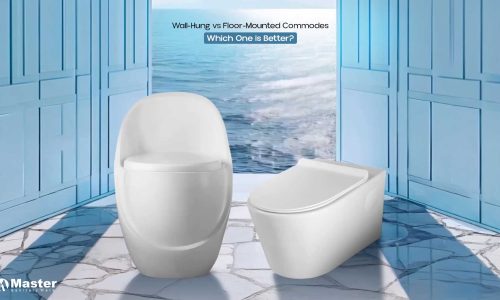 wall-hung-vs-floor-mounted-commodes